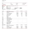 USA Tesla invoice template in Word and PDF format, fully editable