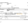USA The Home Depot invoice template in Word and PDF format, fully editable