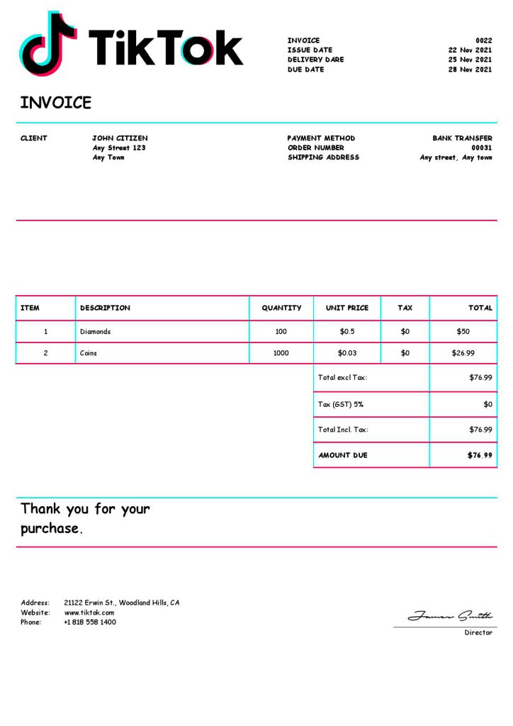 USA Tik Tok invoice template in Word and PDF format, fully editable