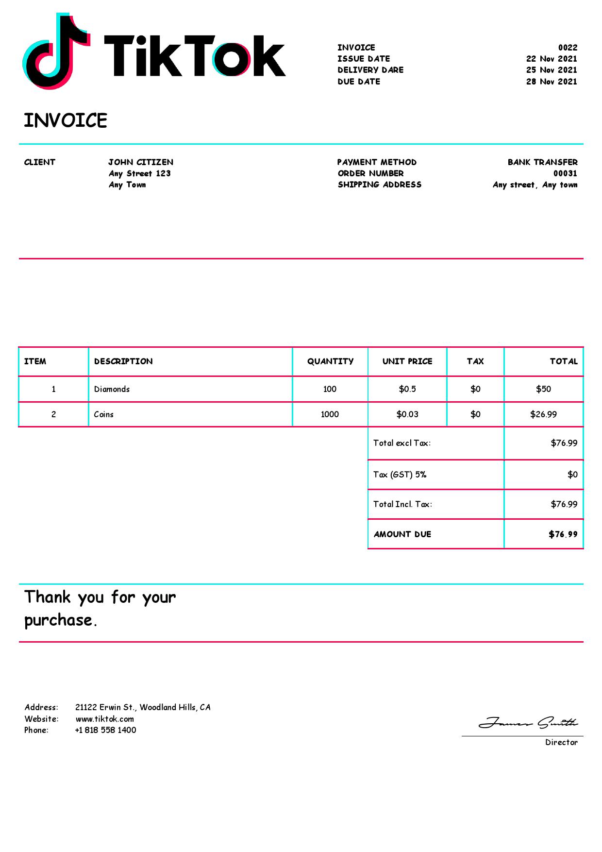 USA Tik Tok invoice template in Word and PDF format, fully editable