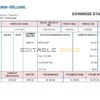 UAE Sherwin-Williams Paints paint manufacturing company pay stub Word and PDF template