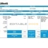 United Kingdom Abbott Laboratories medical devices distributing company pay stub Word and PDF template