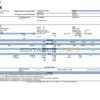 USA ADM food processing company pay stub Word and PDF template