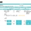 USA AECOM construction company pay stub Word and PDF template