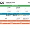 USA APS public services company pay stub Word and PDF template