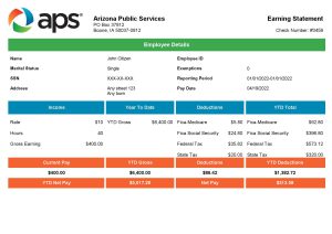 USA Editable Templates 7 USA APS public services company pay stub Word and PDF template