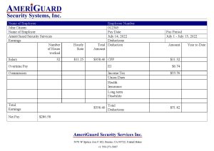 USA Editable Templates 5 USA AmeriGuard Security Services Inc security company pay stub Word and PDF template