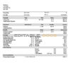 USA American Axle manufacturing company pay stub Word and PDF template