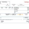 USA American Excelsior distribution company pay stub Word and PDF template