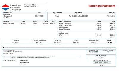 USA American Excelsior distribution company pay stub Word and PDF template