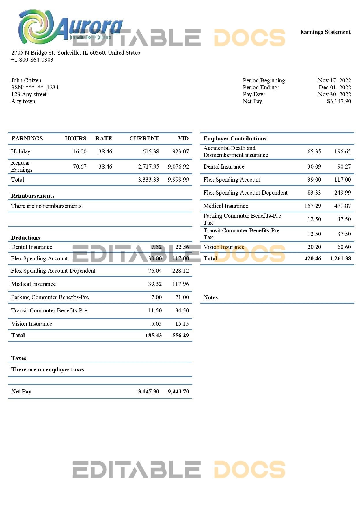 USA Aurora Specialty Textiles Group textile company pay stub Word and PDF template