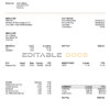 USA Auto Zone auto retailer company pay stub Word and PDF template