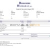 USA Berkshire Hathaway conglomerate company pay stub Word and PDF template