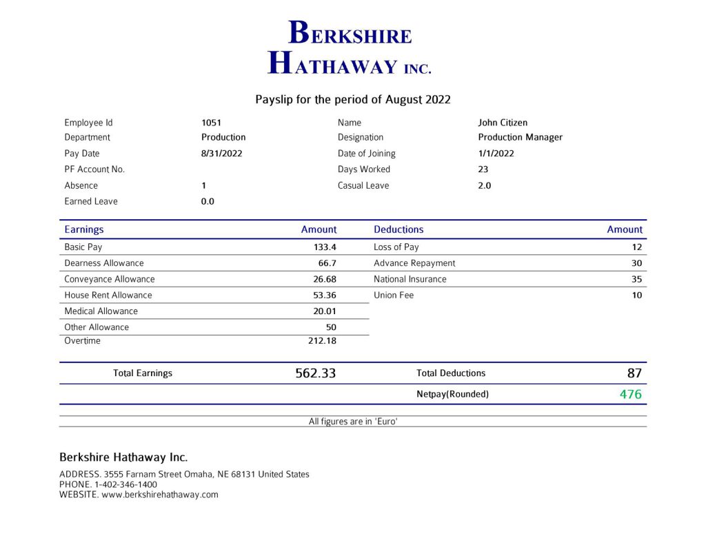USA Berkshire Hathaway conglomerate company pay stub Word and PDF template