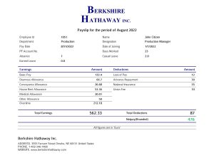 USA Editable Templates 16 USA Berkshire Hathaway conglomerate company pay stub Word and PDF template