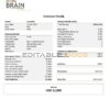 USA Brain Technology technology company pay stub Word and PDF template