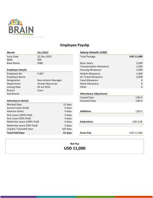 USA Editable Templates 2 USA Brain Technology technology company pay stub Word and PDF template