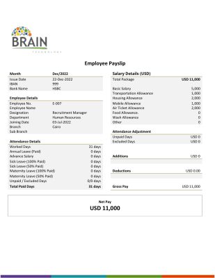 USA Brain Technology technology company pay stub Word and PDF template