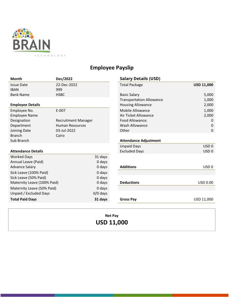 USA Brain Technology technology company pay stub Word and PDF template