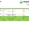 USA Brighthouse Financial financial company pay stub Word and PDF template