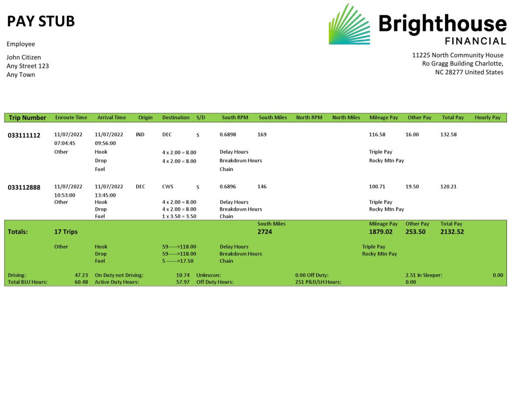 USA Brighthouse Financial financial company pay stub Word and PDF template
