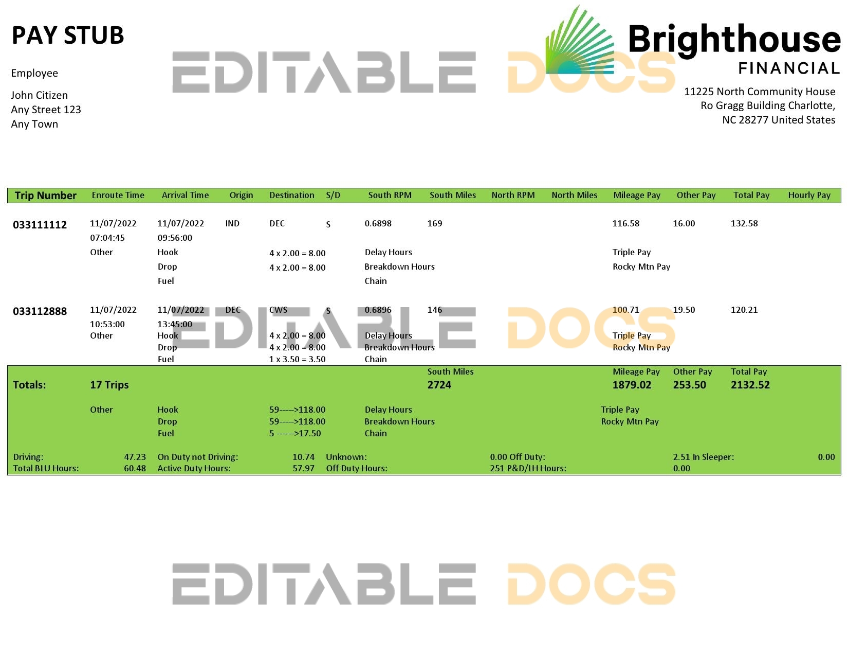 USA Brighthouse Financial financial company pay stub Word and PDF template