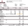 USA Broadcom semiconductor company pay stub Word and PDF template