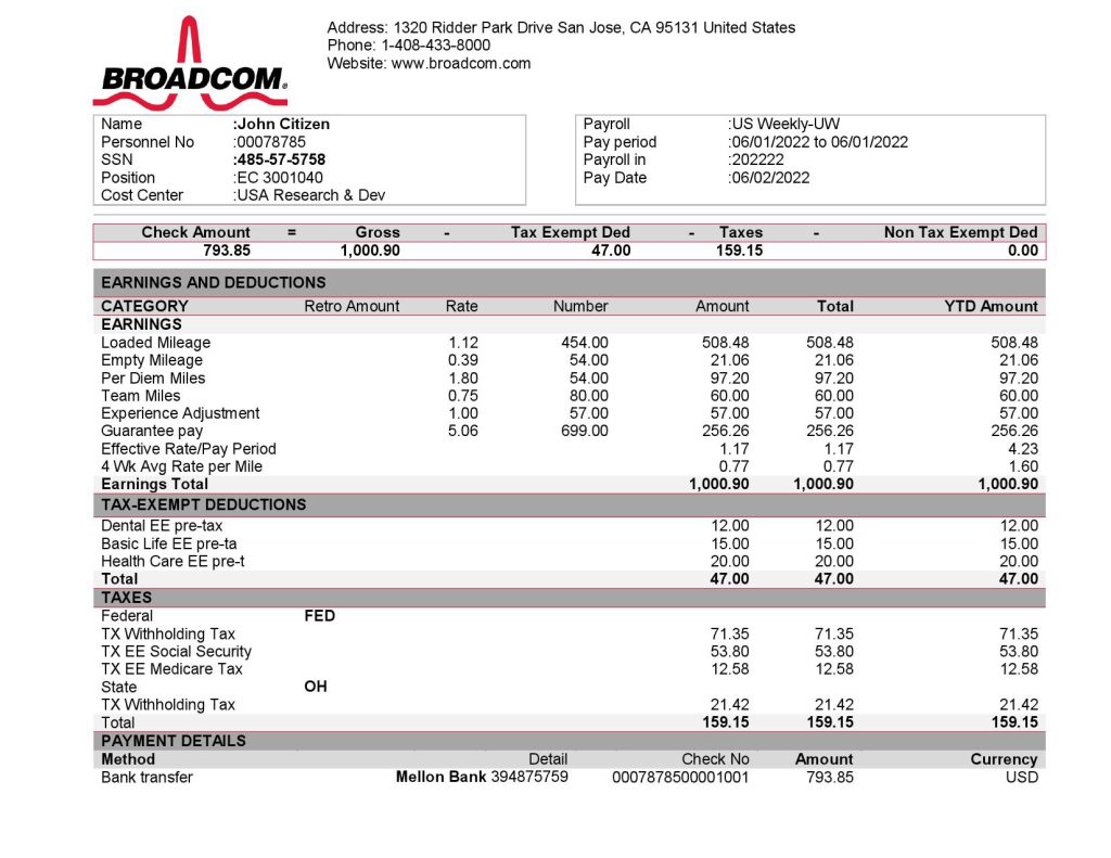USA Broadcom semiconductor company pay stub Word and PDF template