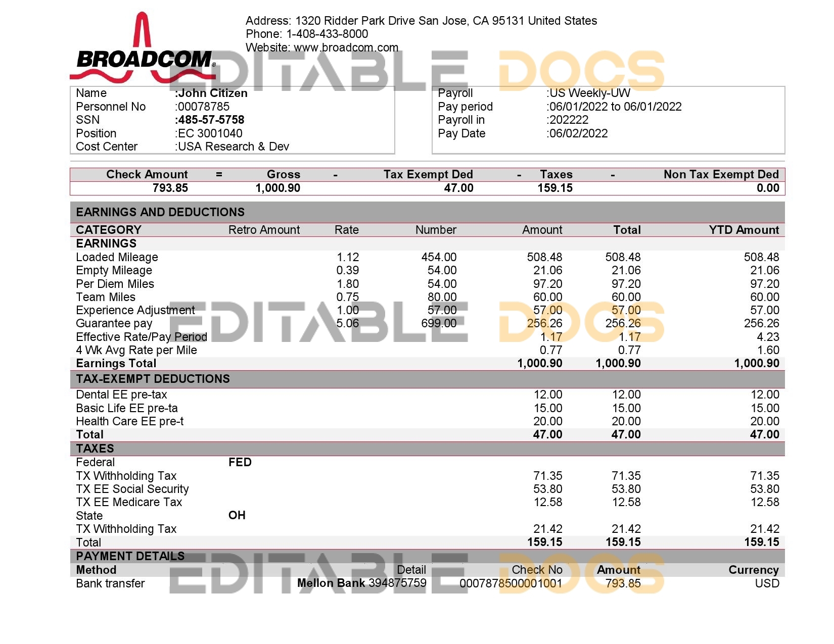 USA Broadcom semiconductor company pay stub Word and PDF template