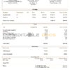USA Brown Forman alcoholic beverages company pay stub Word and PDF template