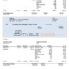 USA CHS Inc. agricultural company pay stub Word and PDF template