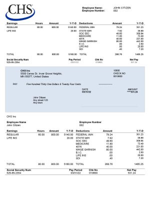 USA Editable Templates 10 USA CHS Inc. agricultural company pay stub Word and PDF template