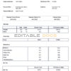 USA Capital Economics economic company pay stub Word and PDF template
