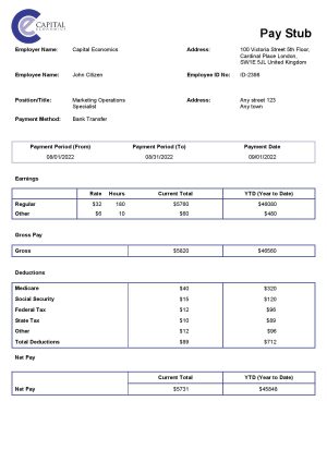 USA Editable Templates 7 USA Capital Economics economic company pay stub Word and PDF template