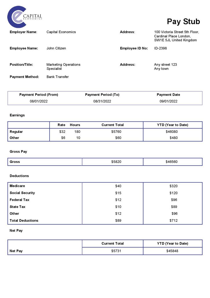 USA Capital Economics economic company pay stub Word and PDF template