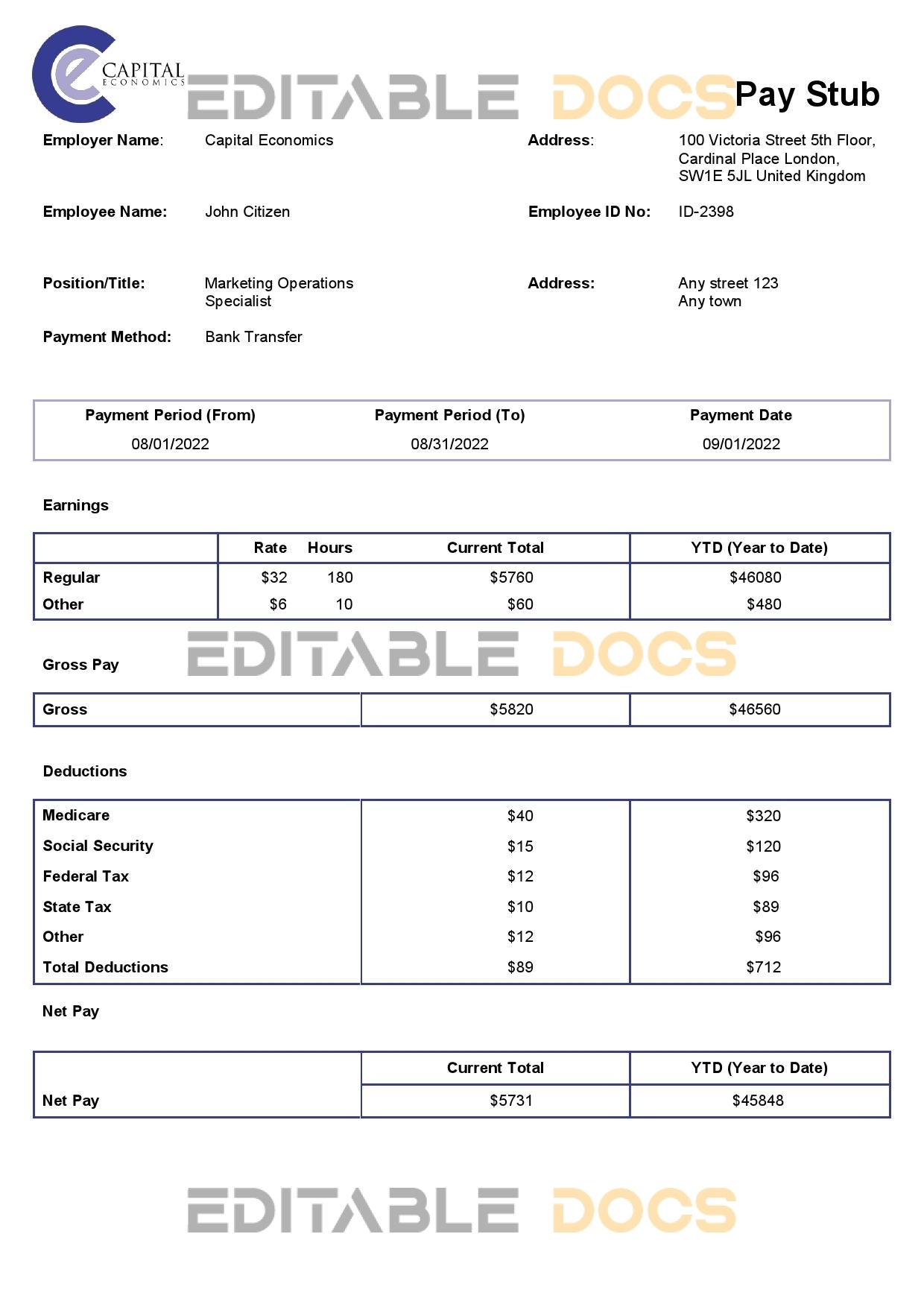 USA Capital Economics economic company pay stub Word and PDF template
