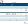 USA Capital One banking company pay stub Word and PDF template