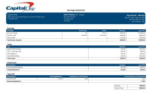USA Editable Templates 11 USA Capital One banking company pay stub Word and PDF template