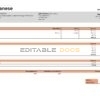 USA Celanese technology company pay stub Word and PDF template