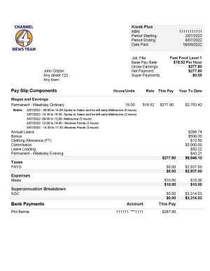USA Editable Templates 9 USA Channel News Team 4 media company pay stub Word and PDF template