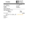 USA Cisco invoice template in Word and PDF format, fully editable