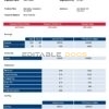 USA Delta Air Lines airlines company pay stub Word and PDF template