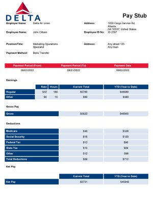 USA Editable Templates 10 USA Delta Air Lines airlines company pay stub Word and PDF template