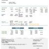 USA Denbury Resources Inc. oil & gas company pay stub Word and PDF template