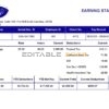 USA Diversey household goods company pay stub Word and PDF template