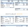 USA Dixon University Center educational company pay stub Word and PDF template