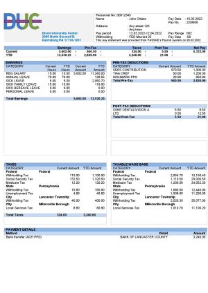 USA Editable Templates 13 USA Dixon University Center educational company pay stub Word and PDF template