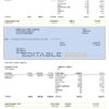 USA Dutch Bros Coffee Corporate coffeehouse company pay stub Word and PDF template