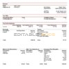 USA Grainger industry company pay stub Word and PDF template