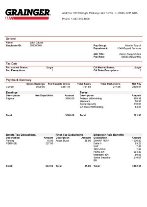 USA Editable Templates 14 USA Grainger industry company pay stub Word and PDF template